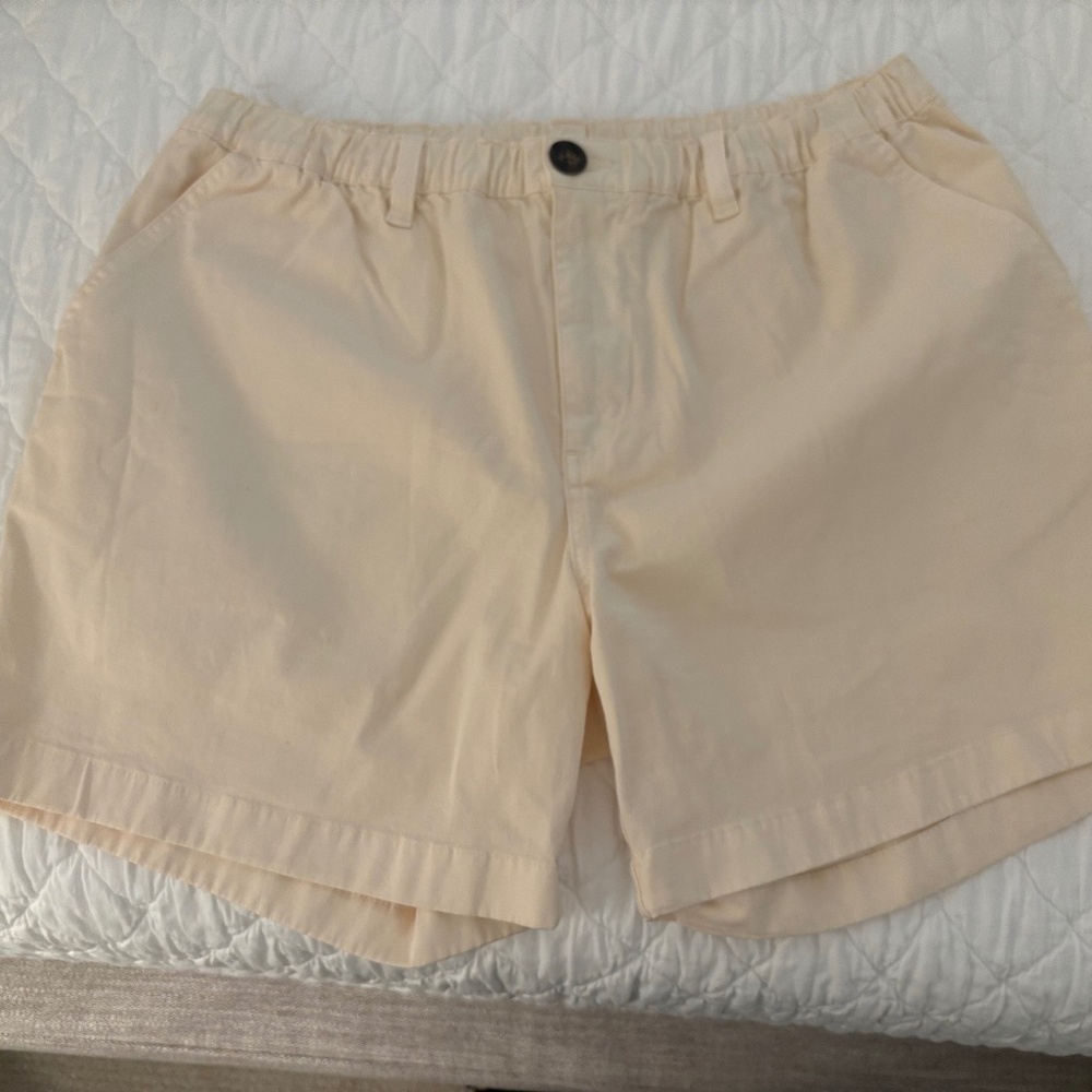 Chubbies Shorts